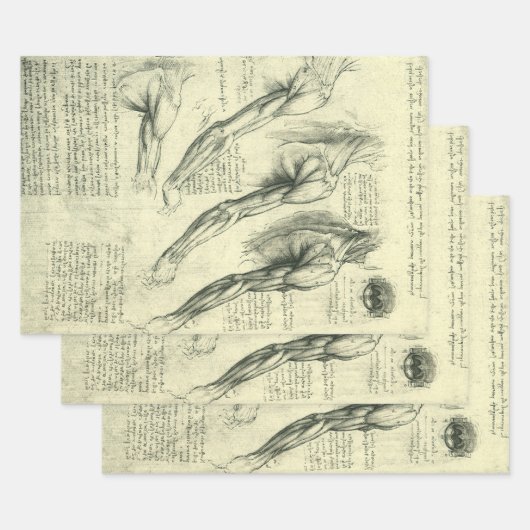 Leonardo da Vinci's arm- en schouderanatomie Inpakpapier Vel (Set)