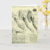 Leonardo da Vinci's arm- en schouderanatomie Kaart (Gele Bloem)