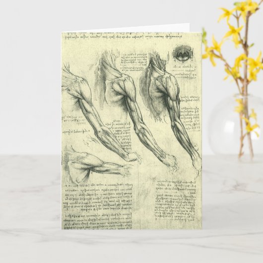 Leonardo da Vinci's arm- en schouderanatomie Kaart (Gele Bloem)