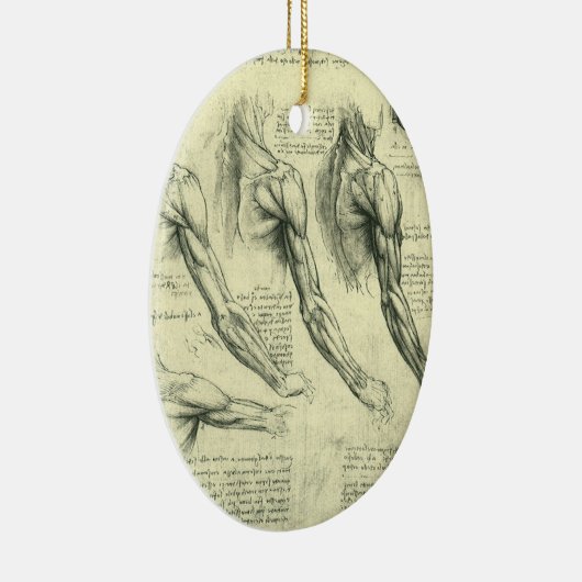 Leonardo da Vinci's arm- en schouderanatomie Keramisch Ornament (Rechts)