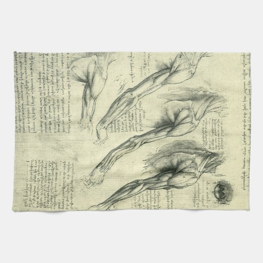 Leonardo da Vinci's arm- en schouderanatomie Theedoek (Horizontaal)