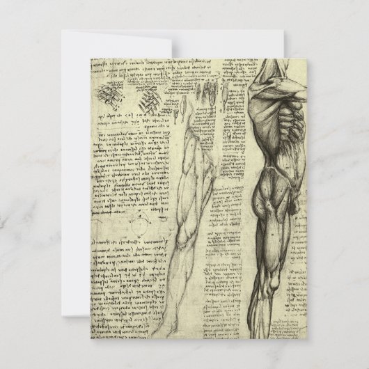 Leonardo da Vinci's menselijke anatomie mannelijke (Voorkant)