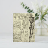 Leonardo da Vinci's menselijke anatomie mannelijke Briefkaart (Staand voorkant)