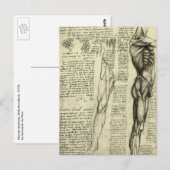 Leonardo da Vinci's menselijke anatomie mannelijke Briefkaart (Voorkant / Achterkant)