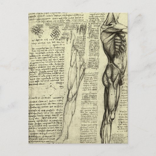 Leonardo da Vinci's menselijke anatomie mannelijke Briefkaart (Voorkant)