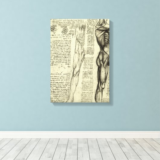 Leonardo da Vinci's menselijke anatomie mannelijke Canvas Afdruk (Insitu (Houten vloer))