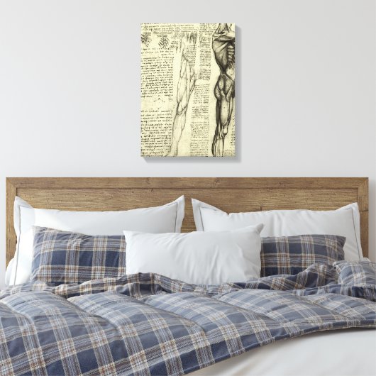 Leonardo da Vinci's menselijke anatomie mannelijke Canvas Afdruk (Insitu (Slaapkamer))