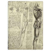 Leonardo da Vinci's menselijke anatomie mannelijke Klembord (Achterkant)