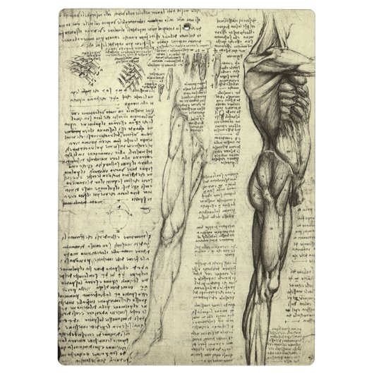 Leonardo da Vinci's menselijke anatomie mannelijke Klembord (Achterkant)