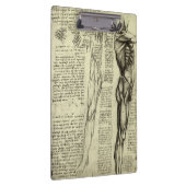 Leonardo da Vinci's menselijke anatomie mannelijke Klembord (Rechts)