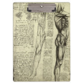 Leonardo da Vinci's menselijke anatomie mannelijke Klembord (Voorkant)