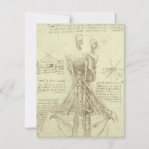 Leonardo da Vinci's menselijke anatomie ruggengraa
