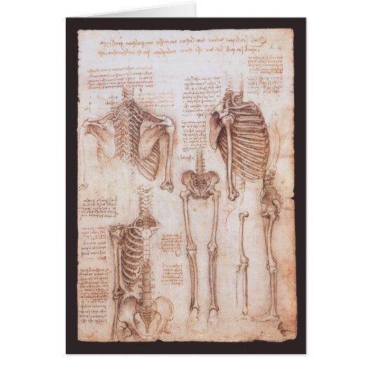 Leonardo da Vinci's menselijke anatomie skelet Bot (Voorkant)