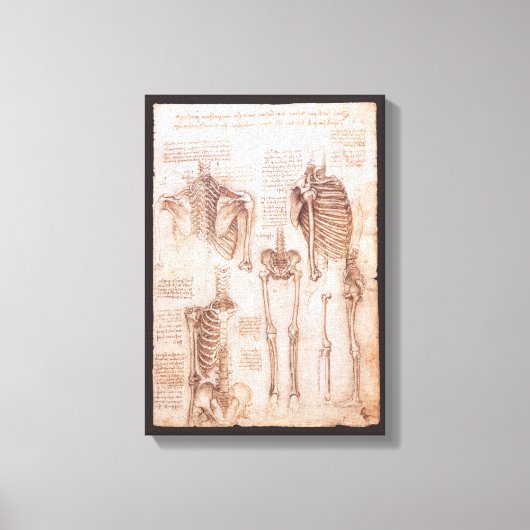 Leonardo da Vinci's menselijke anatomie skelet Bot Canvas Afdruk (Voorkant)
