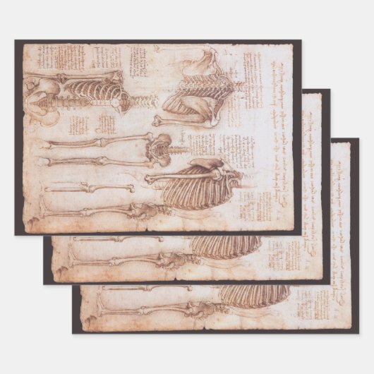 Leonardo da Vinci's menselijke anatomie skelet Bot Inpakpapier Vel (Set)