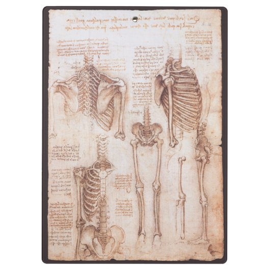 Leonardo da Vinci's menselijke anatomie skelet Bot Klembord (Achterkant)