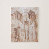 Leonardo da Vinci's menselijke anatomie skelet Bot Legpuzzel (Verticaal)