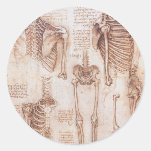 Leonardo da Vinci's menselijke anatomie skelet Bot Ronde Sticker