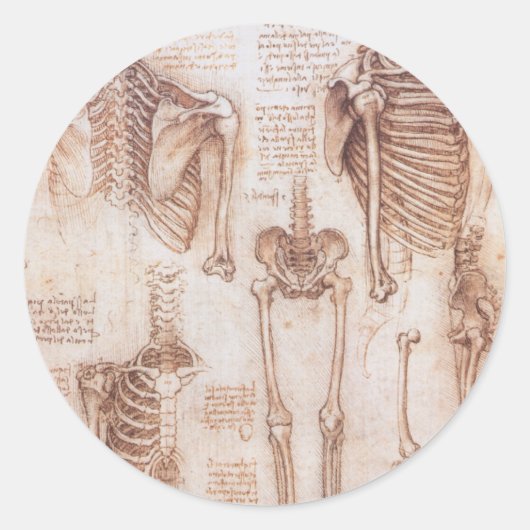 Leonardo da Vinci's menselijke anatomie skelet Bot Ronde Sticker (Voorkant)