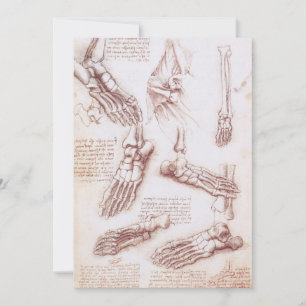 Leonardo da Vinci's menselijke anatomie voet Botte