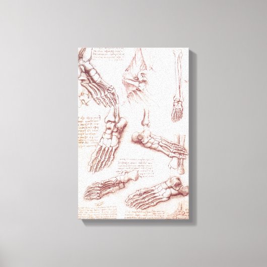 Leonardo da Vinci's menselijke anatomie voet Botte Canvas Afdruk (Voorkant)