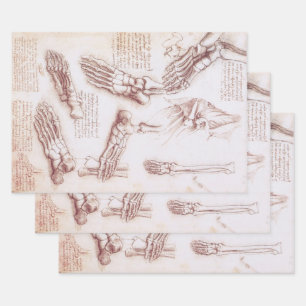 Leonardo da Vinci's menselijke anatomie voet Botte Inpakpapier Vel