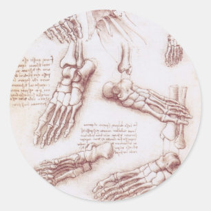 Leonardo da Vinci's menselijke anatomie voet Botte Ronde Sticker