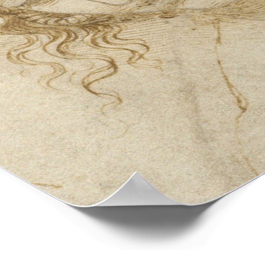 Leonardo da Vinci's studie van het hoofd van Leda Poster (Hoek)