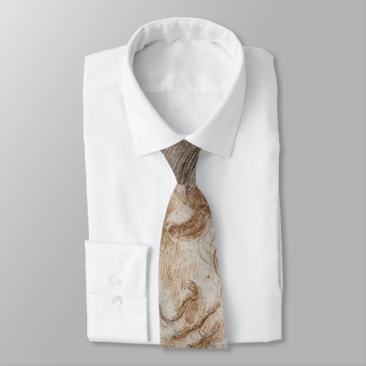 Leonardo da Vinci's studie van het hoofd van Leda Stropdas (Gebonden)