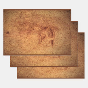 Leonardo da Vinci's Zelfportret, Renaissancekunst Inpakpapier Vel