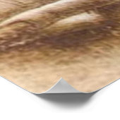 LEONARDO Leonardo da Vinci HANDEN Onderzoek van ha Poster (Hoek)