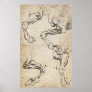 Leonardo Study for Horse Legs Poster