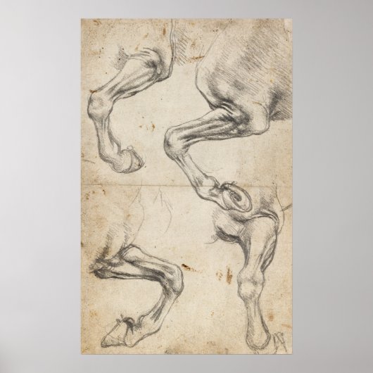 Leonardo Study for Horse Legs Poster (Voorkant)