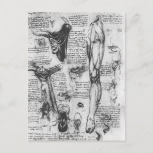 Leonardo Vinci- Anatomische studies (larynx & leg) Briefkaart