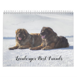 Leonberger Best Friends Kalender