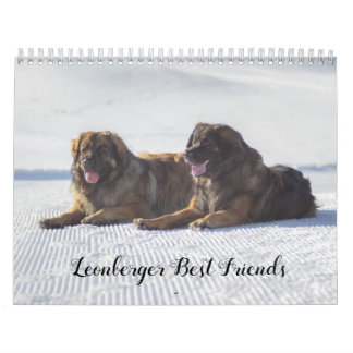 Leonberger Best Friends Kalender