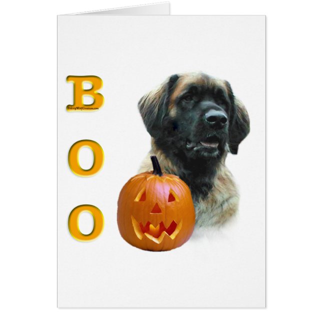 Leonberger Boo (Devant)