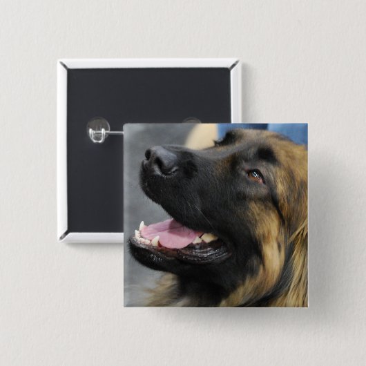 Leonberger Button (Voorkant /achterkant)