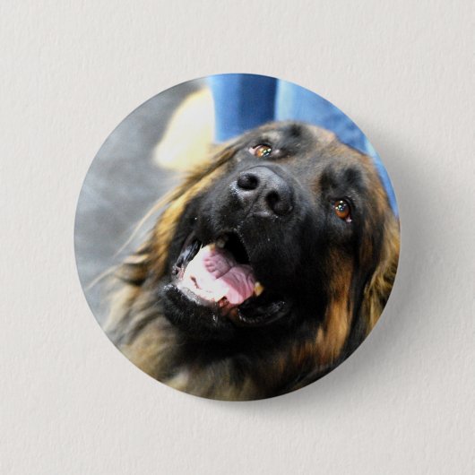 Leonberger Buttonnen Ronde Button 5,7 Cm (Voorkant)