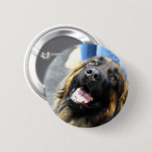 Leonberger Buttonnen Ronde Button 5,7 Cm (Voorkant /achterkant)