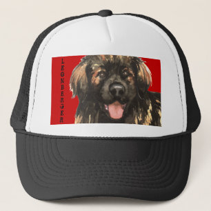 Leonberger Color Block Trucker Pet