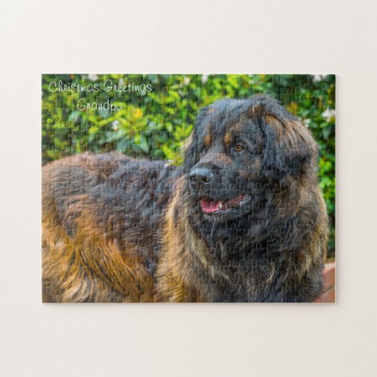 Leonberger Dog. Legpuzzel (Horizontaal)