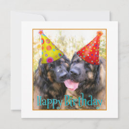 Leonberger Happy Birthday Bedankkaart