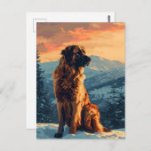 Leonberger hond in het besneeuwde bos tijdens zons briefkaart (Voorkant / Achterkant)