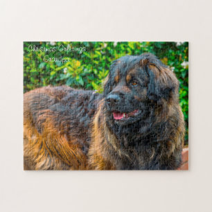 Leonberger hond. legpuzzel