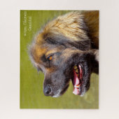 Leonberger hond. legpuzzel (Verticaal)
