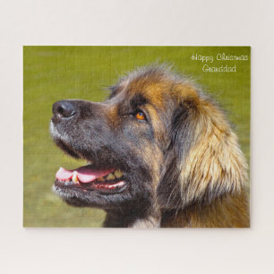 Leonberger hond. legpuzzel