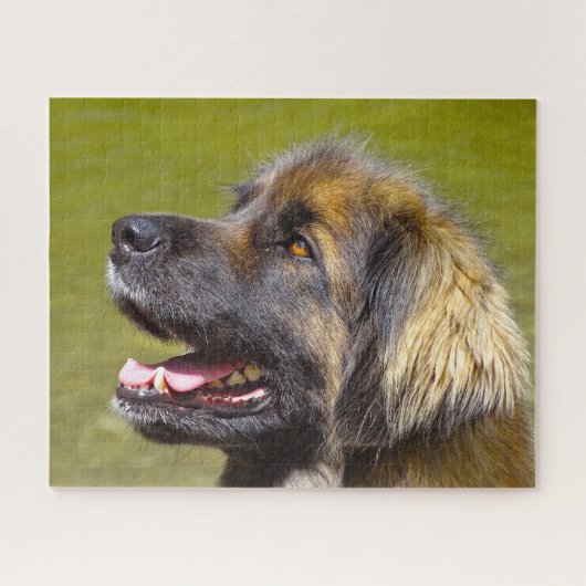 Leonberger Hondenras Jigzaag. Legpuzzel (Horizontaal)