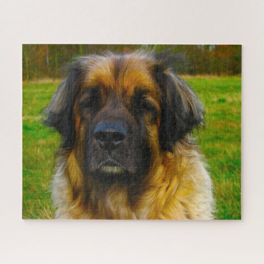 Leonberger Hondenras Jigzaag. Legpuzzel (Horizontaal)