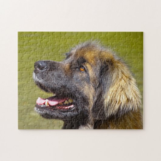 Leonberger Hondenras Jigzaag. Legpuzzel (Horizontaal)